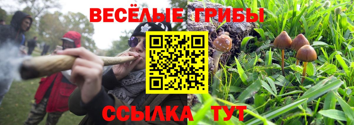 Галлюциногенные грибы GOLDEN TEACHER Нефтекамск