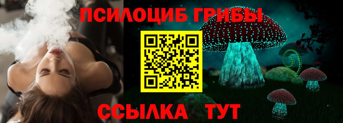 Нефтекамск  Псилоцибиновые грибы MAGIC MUSHROOMS  Вход с VPN 